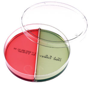 MacConkey-Agar-Reagenz - B193272CLED - Vacutest Kima S.r.l. - für Forschungszwecke / Salmonella / Shigella