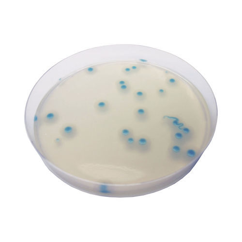 Reaktives Milieu - BC732  - CHROMagar - für Mikrobiologie / für Lebensmittel / für Umweltanalyse
