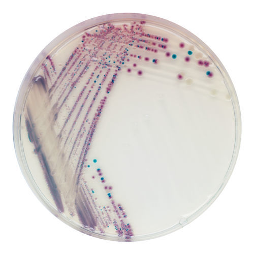 Reaktives Milieu - VB912 - CHROMagar - für Mikrobiologie / für Veterinärlabor / Blei