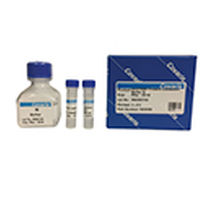 Pufferlösung - truXTRAC 520099, truXTRAC 520103 - Covaris Inc - Proteinpicking