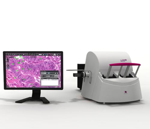 Scanner für Mikroskop-Objektträger - PANNORAMIC SCAN II - 3DHISTECH Ltd. - Hellfeld / Fluoreszenz / mit großem Fassungsvermögen