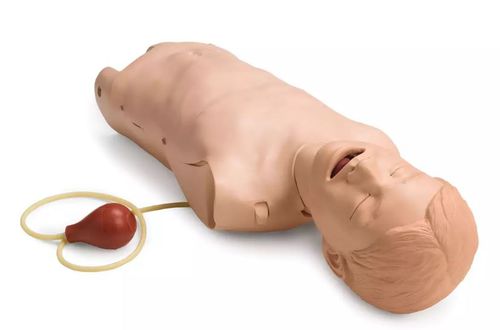 Trainingspuppe für Allgemeinpflege - ERTUNÇ ÖZCAN - Anatomie / Atemwegsmanagement / Erwachsene