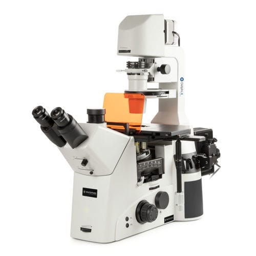 Fluoreszenzmikroskop - Delphi-X - Euromex - optisch / Labor / Invers