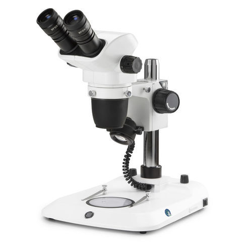 Optisches Stereomikroskop - NexiusZoom - Euromex - Labor / biologisch / binokular
