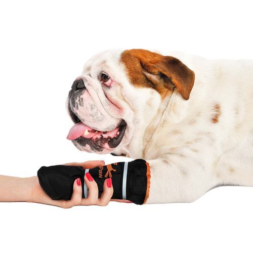 Atmungsaktive Veterinär-Lauforthese - Healing Slim - MediVet Products - für Haustiere