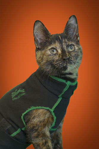 Wundschutzkleidung - Medipaw®  - MediVet Products