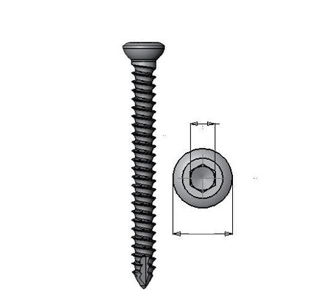 Knochen-Kompressionsschraube / Mehrzweck - 36 series - Medicalex - Titan / Edelstahl / ohne Verriegelung