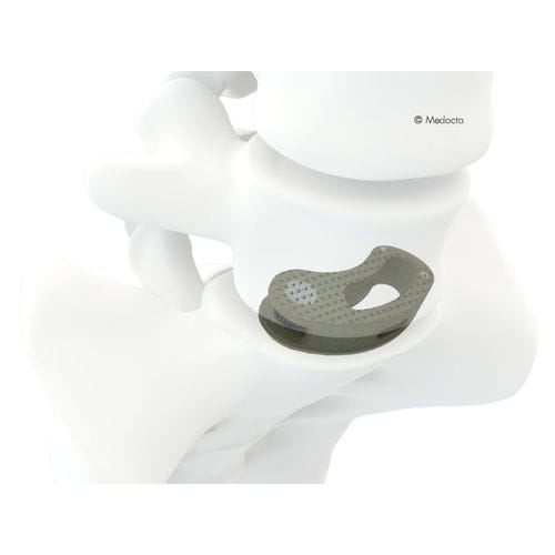 LWS-Zwischenwirbelimplantat - MectaLIF® - Medacta - transforaminaler Zugang / Titan / aus PEEK