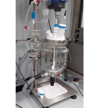 Laborreaktor - SQEG080260	 - Steroglass - Borosilikatglas