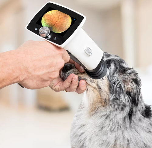 Retinalkamera für Veterinärzwecke veterinärmedizinische Augenuntersuchung - Optomed Aurora - Optomed - Handgerät