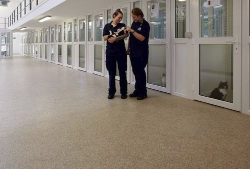 Vinyl-Bodenbelag - Mosaic - Polyflor - PUR / Innenbereich