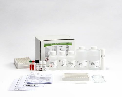 Testkit / Hepatitis B - INNO-LiPA® - Fujirebio - VHB / automatisiert / Streifen