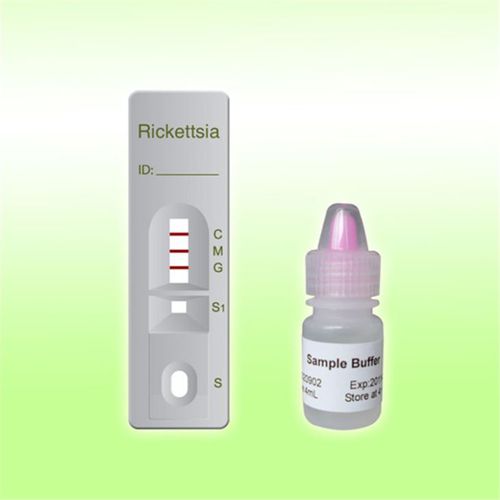 Schnelltest für Infektionskrankheiten - 1O06C2 - Boson Biotech Co., Ltd. - IgG / IgM / Bakterien
