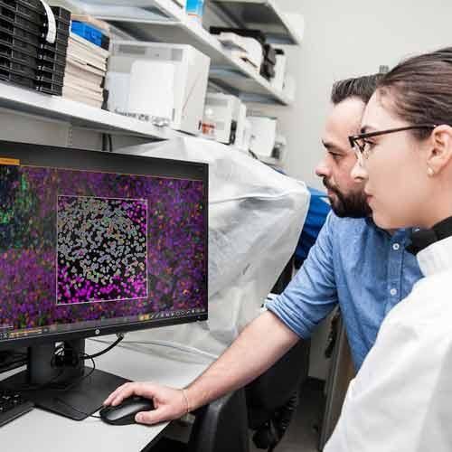 Software für Forschungszwecke - HALO® - Leica Biosystems - für Gesundheitseinrichtungen / für die Pharmaindustrie / für Histologielabor