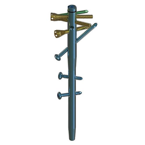 Marknagel / Humerus - Lepu Medical - mit diaphysärer Fixierung / mit proximaler Fixierung