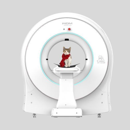 Veterinär-CBCT-Scanner / für Haustiere - dCT-VET 600 - Beijing Wandong Medical Technology