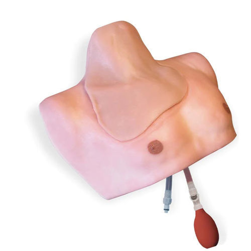Patientensimulator für Gefäßzugang - CentraLineMan® - Simulab Corporation - für Katheterisierung / für zentrale Venenkatheterisierung / für Intensivpflege
