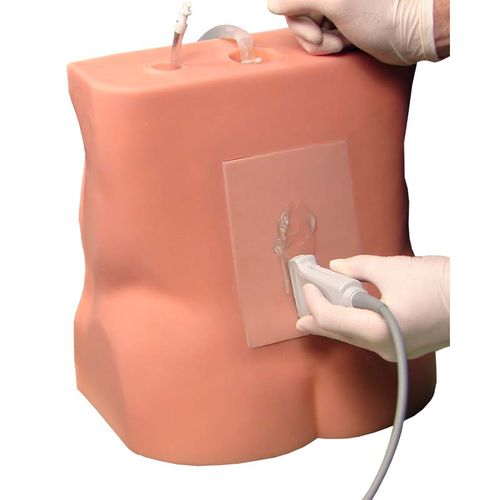 Patientensimulator für Lumbalpunktion - LP-30 - Simulab Corporation - für Palpationen / Becken / echogestützt