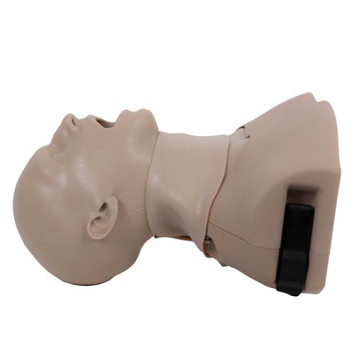 Trainingssimulator - AirwayMan® - Simulab Corporation - für Auskultation / Atemwegsmanagement / für Intubation
