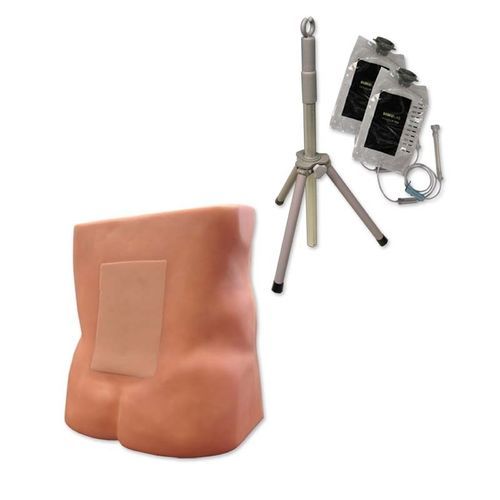 Patientensimulator für Palpationen - LE-30 - Simulab Corporation - für Lumbalpunktion / für Katheterisierung / Geburtshilfe/Gynäkologie