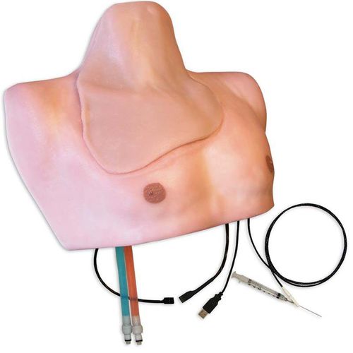 Patientensimulator für Anästhesie - ISBS-30 - Simulab Corporation - für Krankenpflege / Anatomie / Oberkörper