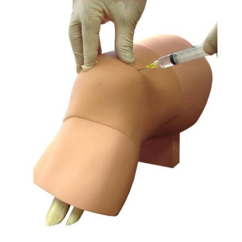 Injektionssimulator - ARC-20 - Simulab Corporation - für Arthrozentese / für Allgemeinpflege / Knie