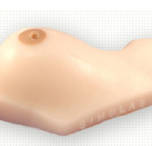 Anatomisches Modell / Brust - BPM-30 - Simulab Corporation - Ausbildung / für Biopsie / für Ultraschalluntersuchungen