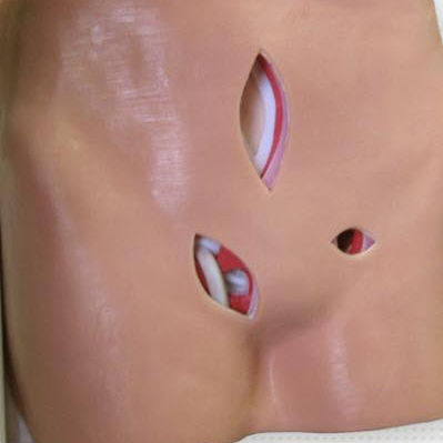 Anatomisches Modell / Körper - HTM-30 - Simulab Corporation - epigastrisch / Bauchlage / Hoden