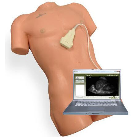 Patientensimulator für Ultraschalluntersuchungen - SonoMan® - Simulab Corporation - Anatomie / Traumazustände / Oberkörper