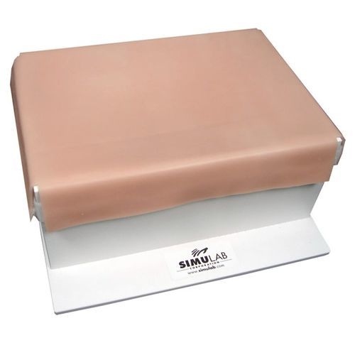 Anatomisches Modell / Haut - LPM-10 - Simulab Corporation - Darm / Abdomen / Bauch