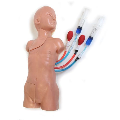 Patientensimulator für Gefäßzugang - VAC-30 - Simulab Corporation - Oberkörper
