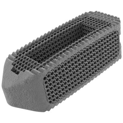 LWS-Zwischenwirbelimplantat - NEXXT MATRIXX® - Nexxt Spine - dorsaler Zugang / transforaminaler Zugang / Titan