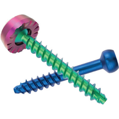Polyaxiale Pedikelschraube - FACET FIXX® - Nexxt Spine - kanüliert / Metall