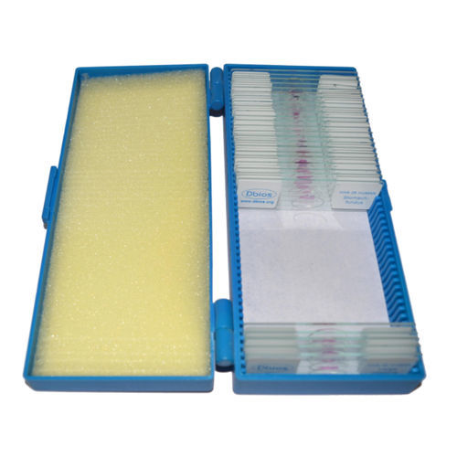 Objektträger für Mikroskop - C series - DESH BIOLOGICAL WORKS