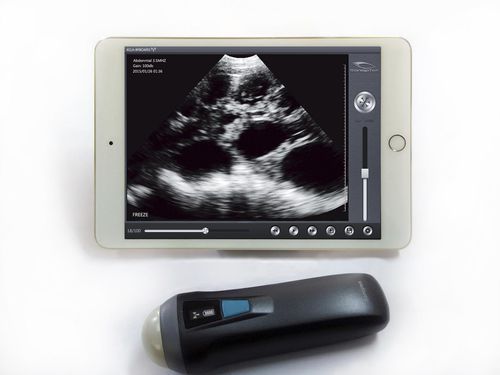 Tierärztliches Ultraschallsystem / Handgerät - SV-1 - SonicVet - Multifunktion