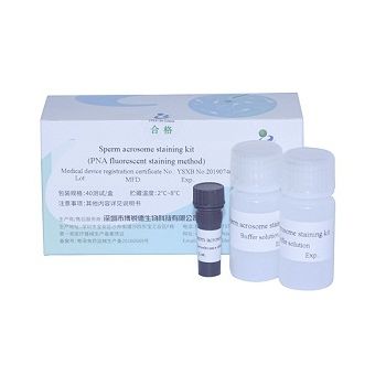 Testkit für Fruchtbarkeit - A23187 - Bred Life Science Technology Inc . - Sperma / Fluoreszenz