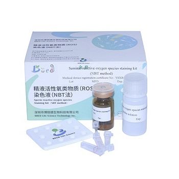 Färbelösungs-Reagenzkit - NBT  - Bred Life Science Technology Inc . - für Spermaanalyse