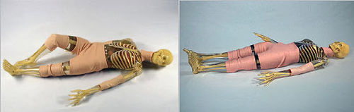Testphantom für Röntgenzwecke - PIXY - Radiology Support Devices - Ganzkörper