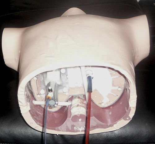 Testphantom für Strahlentherapie - RS-1500 - Radiology Support Devices - Oberkörper