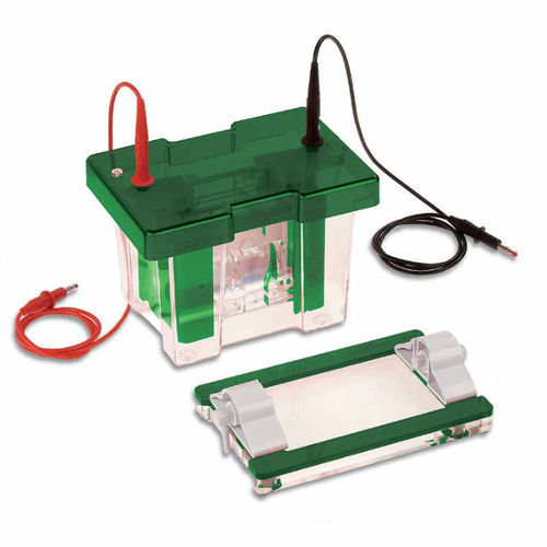 Vertikale Elektrophoresekammer - EVS1 series - Consort