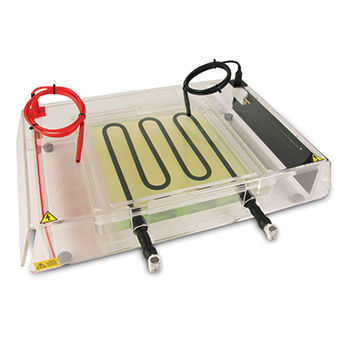 Elektrophoresesystem mit isoelektrischer Fokussierung - EIEF1100 - Consort - horizontal