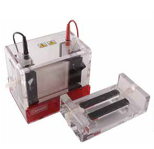 Automatisierte Elektrophoresekammer - EVS3 series - Consort - vertikal