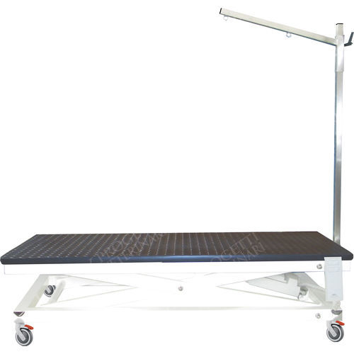 Hub-Trimmtisch - TAVPET002 - Lory Progetti Veterinari srl - magnetisch-induktiv / elektrisch
