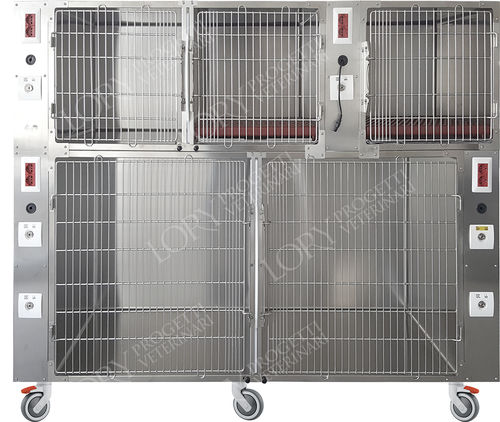 Tierkäfig / 5 Abteile - GAANE001-CG - Lory Progetti Veterinari srl - zwei Brücken / auf Rollen / Edelstahl