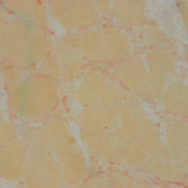 Färbelösungs-Reagenz - 30 – 30122LY - BIO-OPTICA Milano - für die Histologie