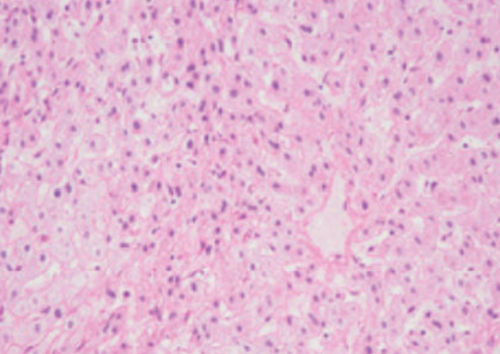 Färbelösungs-Reagenz - 04-140808 - BIO-OPTICA Milano - für Zytologie / für die Histologie