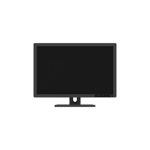Medizinisch Monitor - R241M - Nanjing Jusha Display Technology - für Radiologie / 1920x1200 / 24"