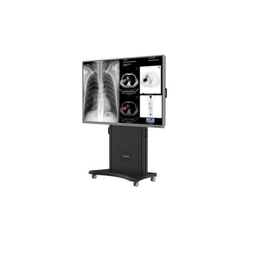 Monitor für medizinische Bildgebung - S8420S - Nanjing Jusha Display Technology - 3840 × 2160 / tragbar / Fern