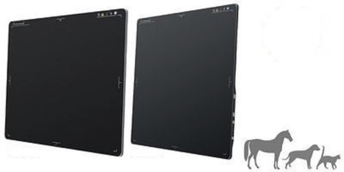 Flachbilddetektor für Veterinärradiographie - IMED 3543MX - 4343MX - Imedsys - für multifunktionale Röntgenaufnahmen / tragbar / kabellos