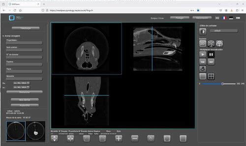 Software für Veterinärmedizin - IMEDpacs - Imedsys - Visualisierung / 3D / 2D